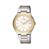 Citizen Eco-Drive Stainless Steel Ladies Watch 5 ATM FE6024-55B